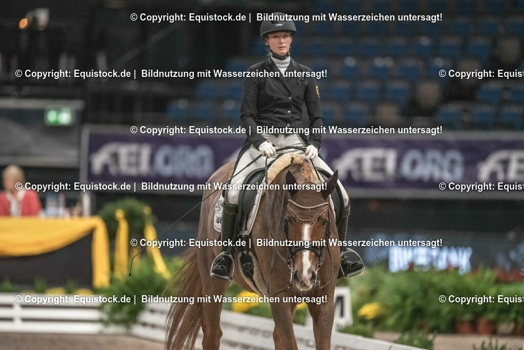 20231115_20_Dressur_Kl-S++_0178_TOMsPiC | Foto: Thomas Hartig