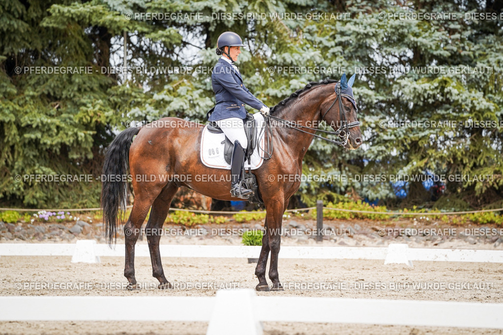 DSC05390 | Pferdegrafie