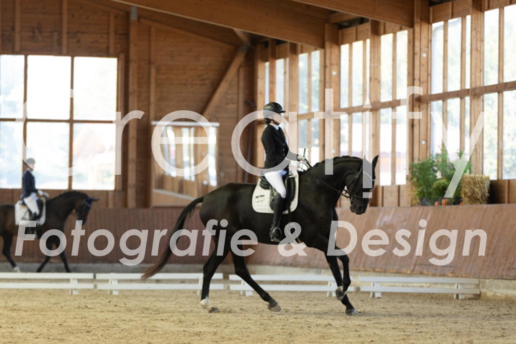 IMG_9833 | Creatify Fotografie