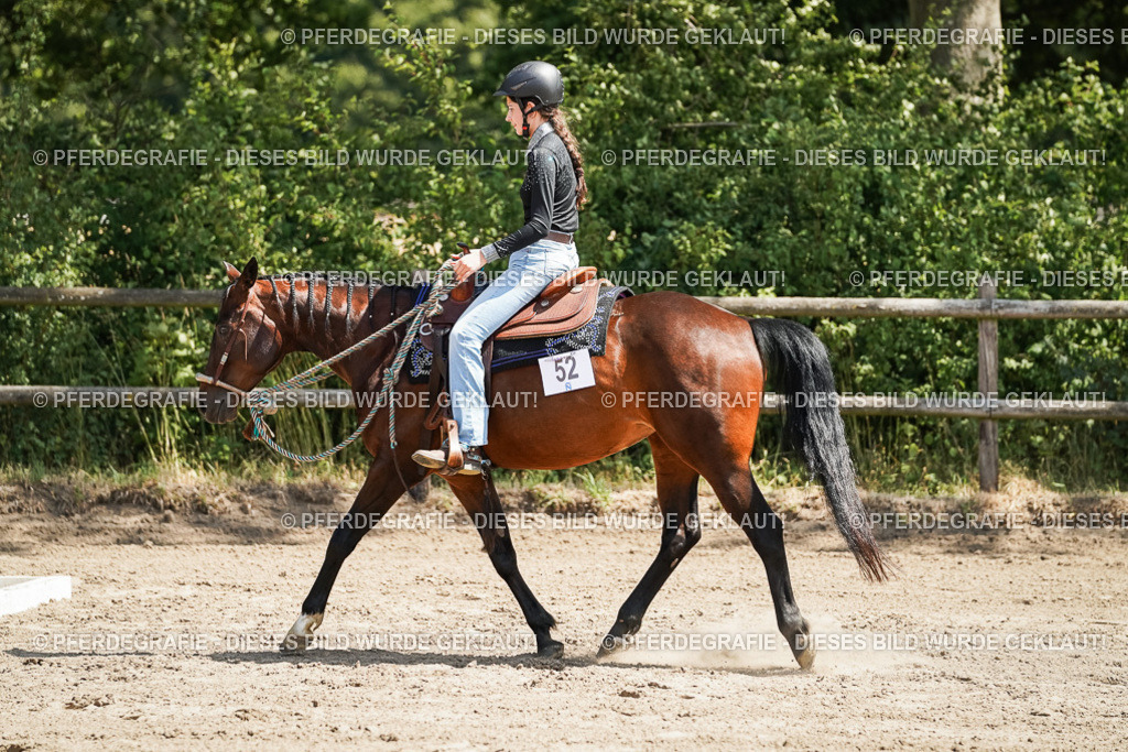 DSC07682 | Pferdegrafie