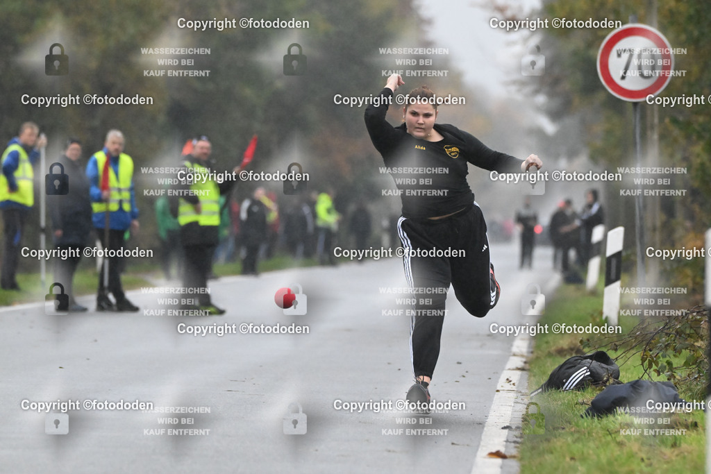 DSC_2609 | Alida Henke / Willmsfeld