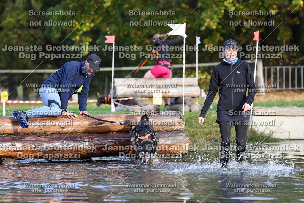 Dog Paparazzi - Strongdog 10-25-7039 | Dog Paparazzi Jeanette Grottendiek Fotografie & Videografie - Realisiert mit Pictrs.com