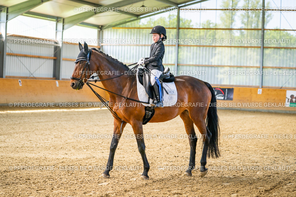 DSC02788 | Pferdegrafie