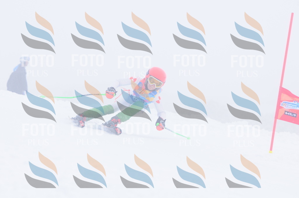 C2543 | holidayphoto