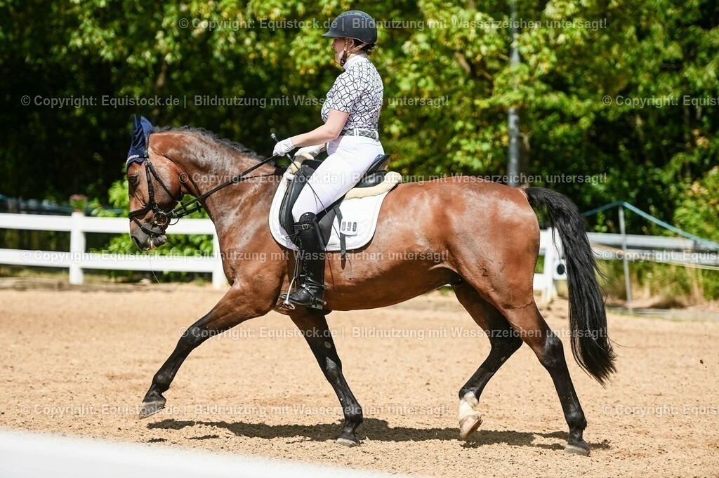 20230715_02_Dressurreiterprüfung Kl.L_0147 | equistock