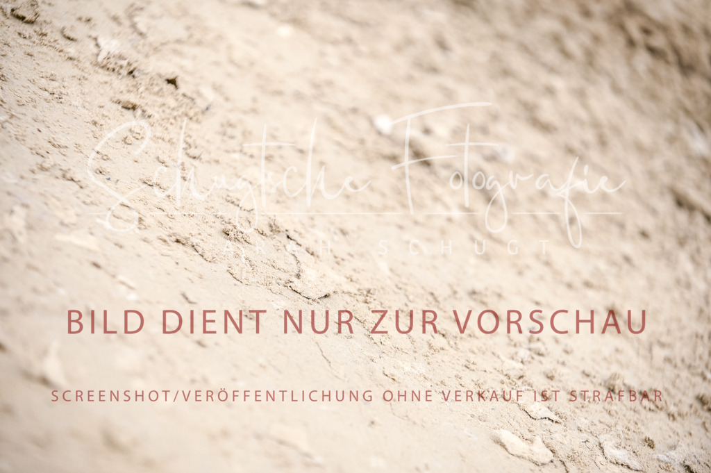 Schugtsche-Aluta25-57.Dressurprf.M1Kand-291 | Schugtsche Fotografie - Realisiert mit Pictrs.com