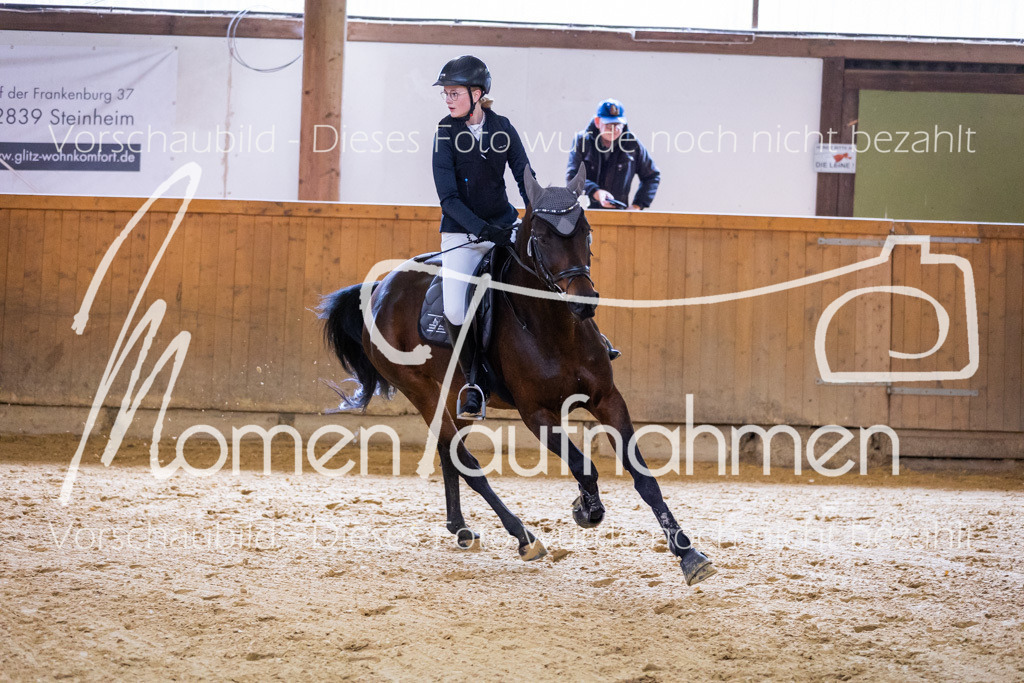 Sth-E-Springen-048 | MomenTaufnahmen Pferdesportfotos