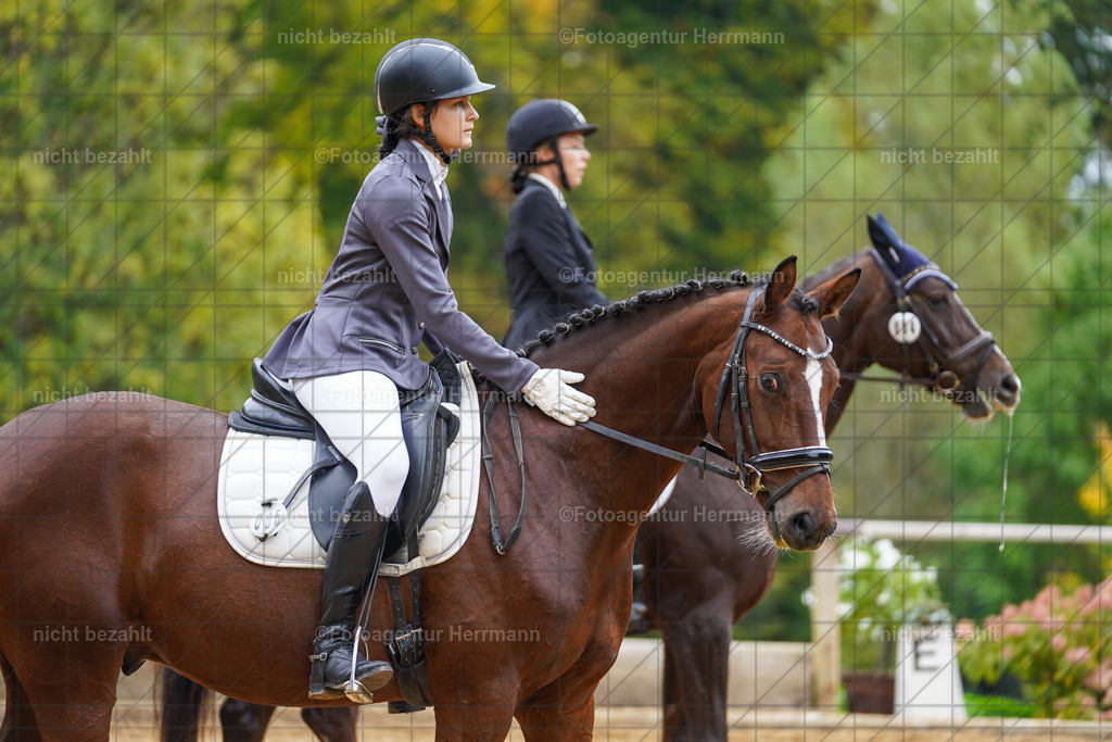 20221008-FAH01616 | Diessen am Ammersee, 2022, Dressur- und Springturnier, Reitsportbilder, Turnierfotografen Bayern, Pferdefotografen, Fotoagentur Herrmann, Turnierbilder
