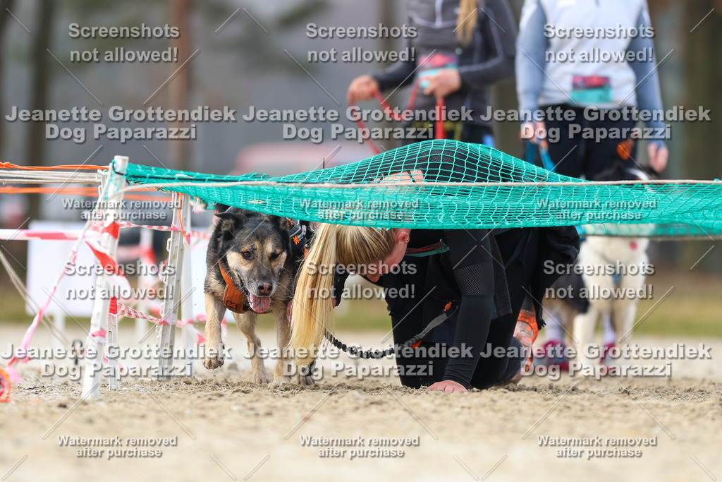 Dog Paparazzi - Strongdog North Mrz26-4157 | Dog Paparazzi Jeanette Grottendiek Fotografie & Videografie - Realisiert mit Pictrs.com