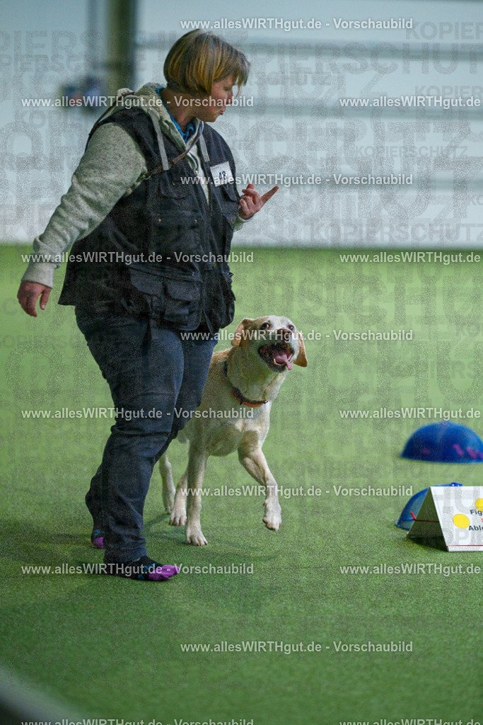 7R506307 | Professionelle Tierfotografie in Mönchengladbach von Daniel Wirth (allesWIRTHgut). Liebevolle & natürliche Bilder von Hunden & Katzen für unvergessliche Erinnerungen.