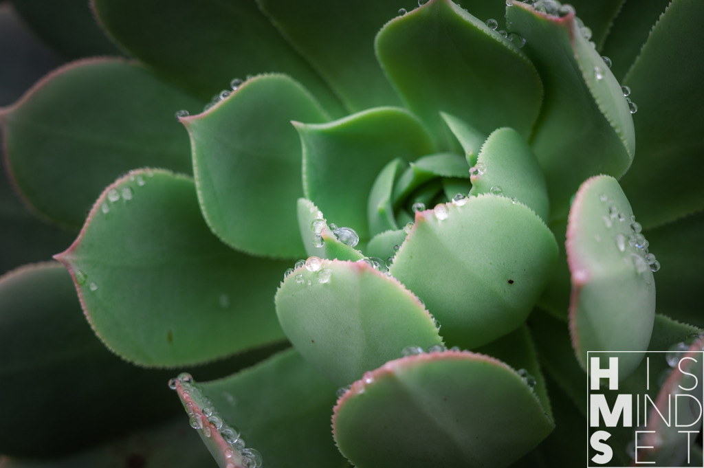 Drops | Sichere dir dein Lieblingsbild von HISMINDSET als Print für dein Zuhause oder das Büro! - Realisiert mit Pictrs.com