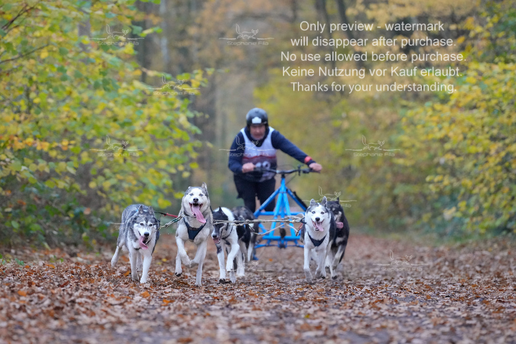 Rigs4bis8So-118 | stephaniefillaphotographie - Realisiert mit Pictrs.com