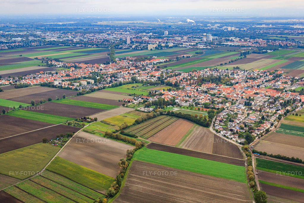 Luftbild: Ortsansicht von Südwesten im Ortsteil Eppstein in Frankenthal im Bundesland Rheinland-Pfalz in Deutschland. Foto: IMG_34200.jpg vom 02.10.2010 durch Werner Riehm/FLY-FOTO.deAuflösung des Originals: 4752 x 3168 px