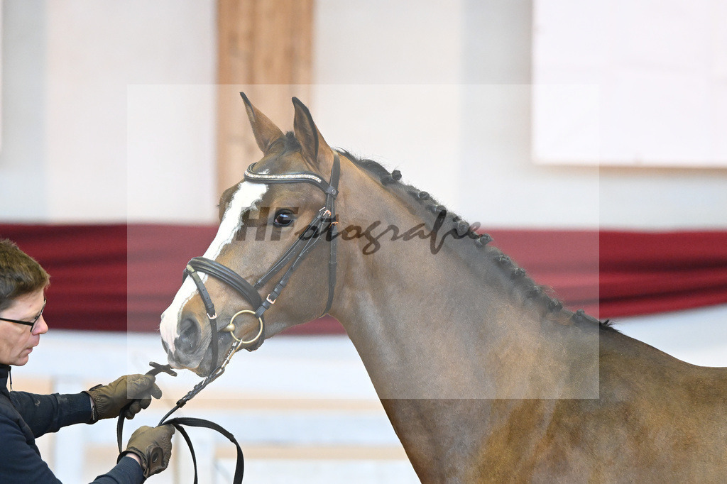 Kat-Nr. 102 Quel Mexx_Roedl_66221476 | hf-fotografie - Realisiert mit Pictrs.com