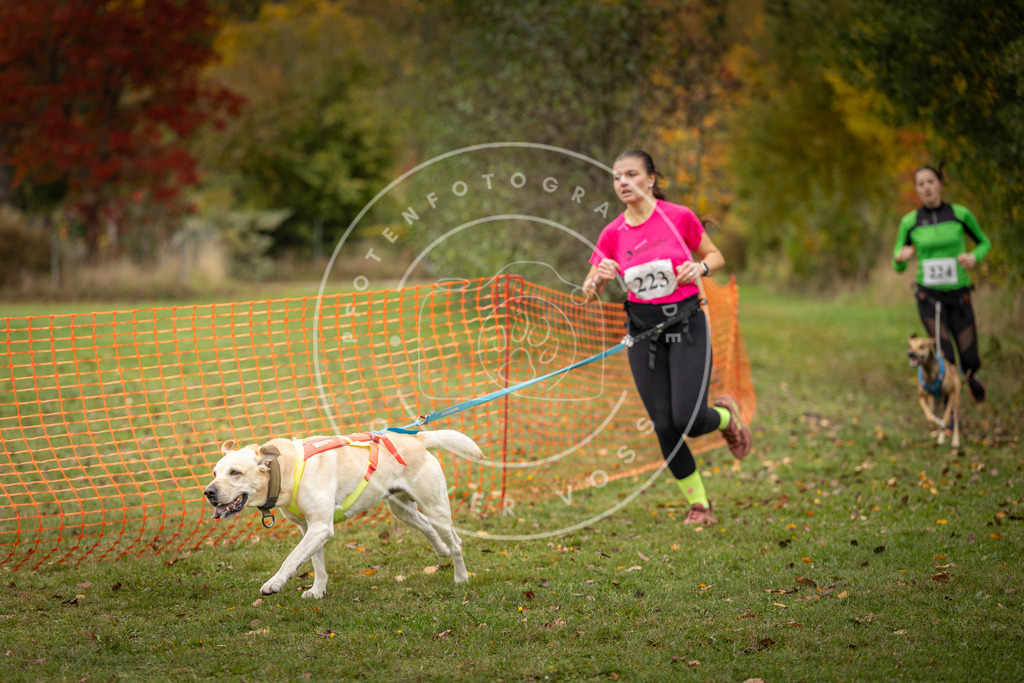 Pfotenfotografie_DV3A4592 | Hundefotografie, Tierfotograf, Pfotenfotografie, Fotoshooting Hund, Hunde Portrait, Hundesport, Hundeportraits, Heideshooting, Hunde, Sportfotograf, Hundefotograf, Turnierhundsport, THS,  - Realisiert mit Pictrs.com