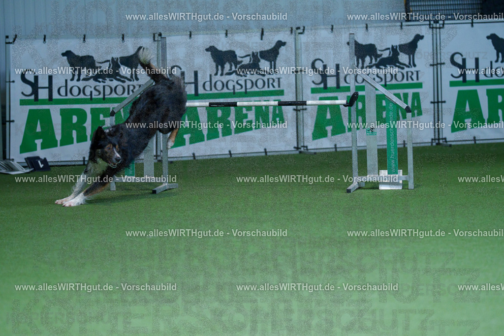 @allesWIRTHgut_Tierfotografie - www.allesWIRTHgut.de - 2604251232-7R502081 | Professionelle Tierfotografie in Mönchengladbach von Daniel Wirth (allesWIRTHgut). Liebevolle & natürliche Bilder von Hunden & Katzen für unvergessliche Erinnerungen.