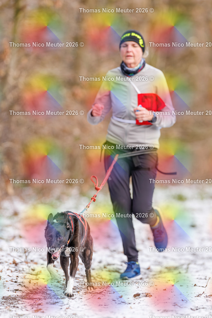 Thomas_Nico_Meuter(C)_223A8577 | Bild von Thomas Nico Meuter - Realisiert mit Pictrs.com