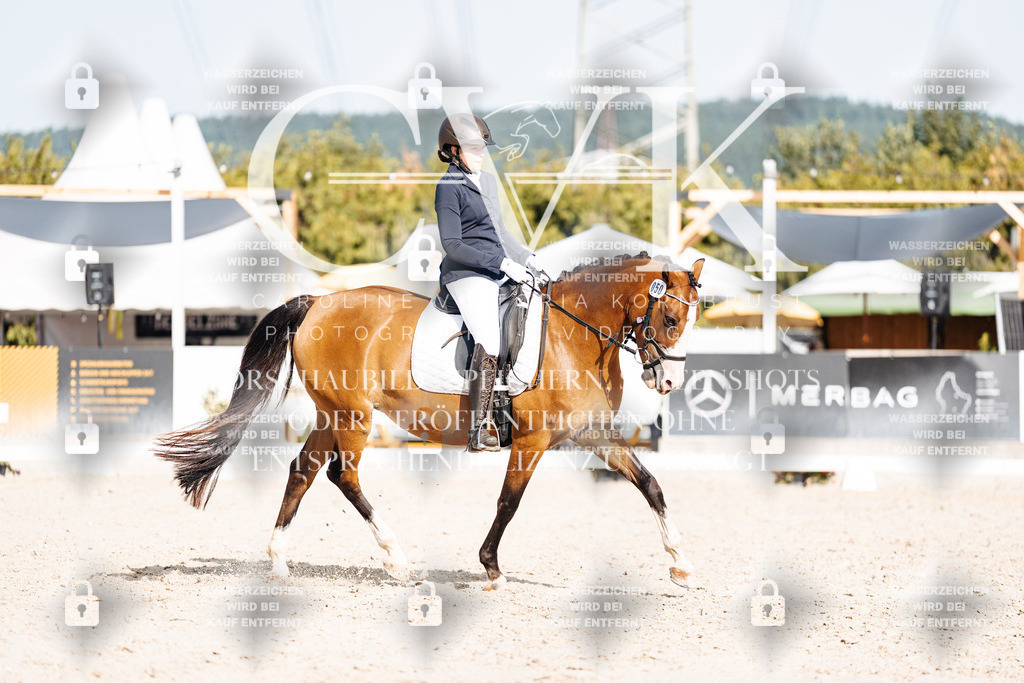 CK905366 | Turnierfotografie Pferdefotografie Trier Rheinland-Pfalz Pferdesport Reitsport Tierfotografie Sportfotografie Pferdevideo Pferdevideografie Equestrianvideography equestrianphotography  - Realisiert mit Pictrs.com