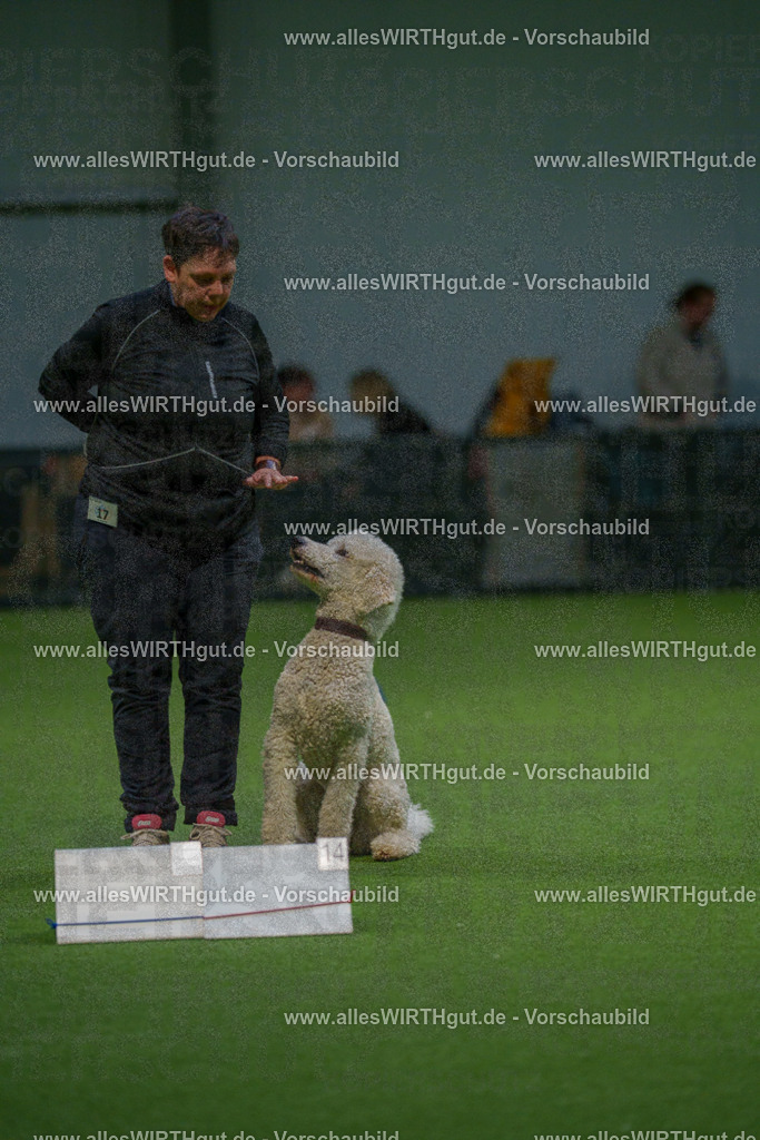 7R505558 | Professionelle Tierfotografie in Mönchengladbach von Daniel Wirth (allesWIRTHgut). Liebevolle & natürliche Bilder von Hunden & Katzen für unvergessliche Erinnerungen.