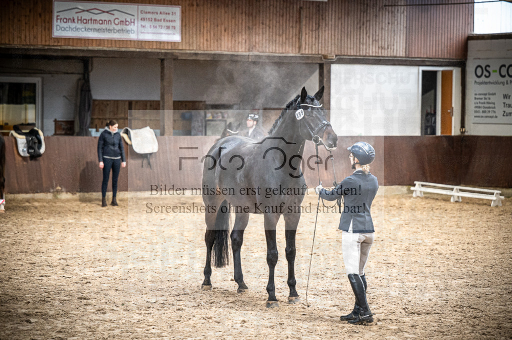 Hallenreittunier Voxtrup 2023 | Entdecke hochwertige Reitturnierfotos von Foto Oger. Professionell, emotional und authentisch – jetzt Lieblingsmomente im Shop bestellen.Deutschlandweite Turnierfotografie. - Realisiert mit Pictrs.com