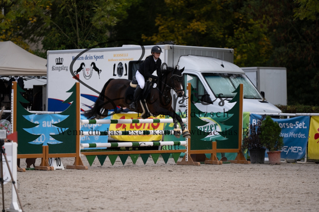 A7V00400 | Pferdefotograf