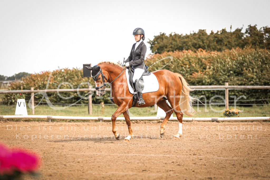 14.SaDrA200067 | Leoni Ertmer Photography - Realisiert mit Pictrs.com