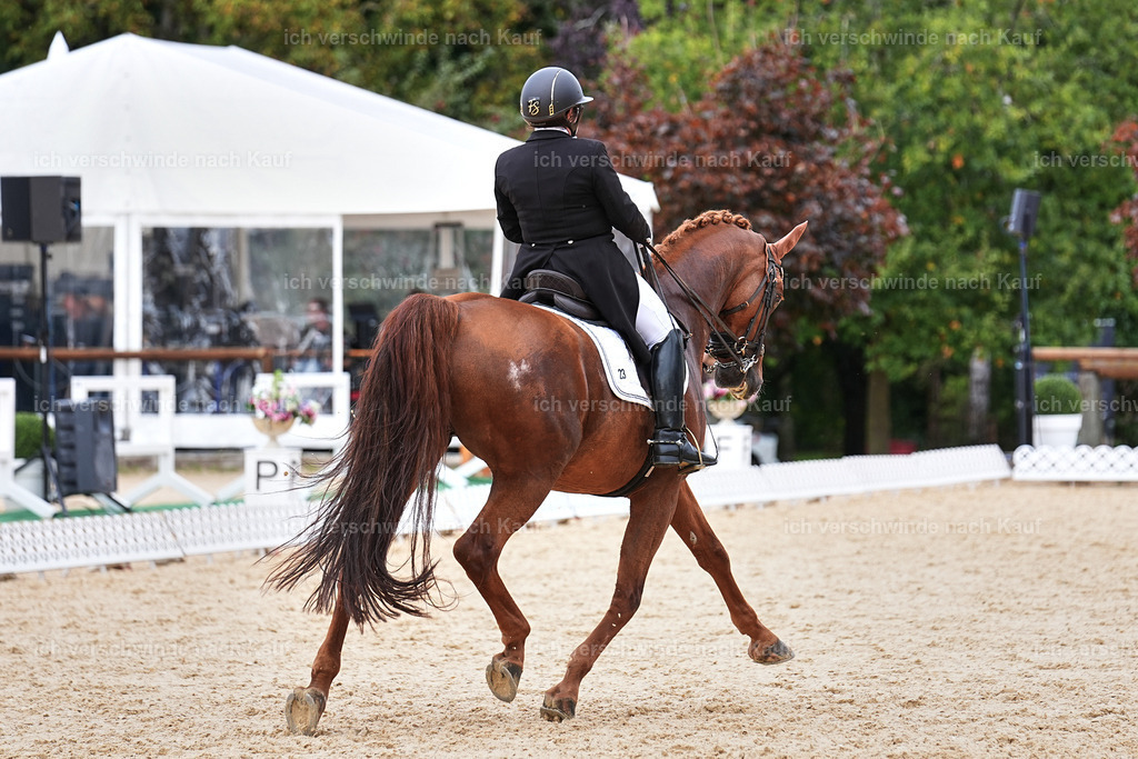 11-023-Dressur S___-Marixx-1691 | working equitationturnier fotograf videograf stoibphotography marixx film working equitation deutschland reitsport turnierfotografie eventfotografie equestrian events