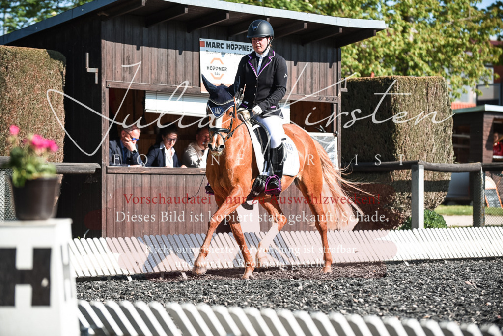 DSC_8448 | Pferde- und Turnierfotografie in Westsachsen. Pferdeportraits, Auftragszeichnungen und intuitive Kunst.