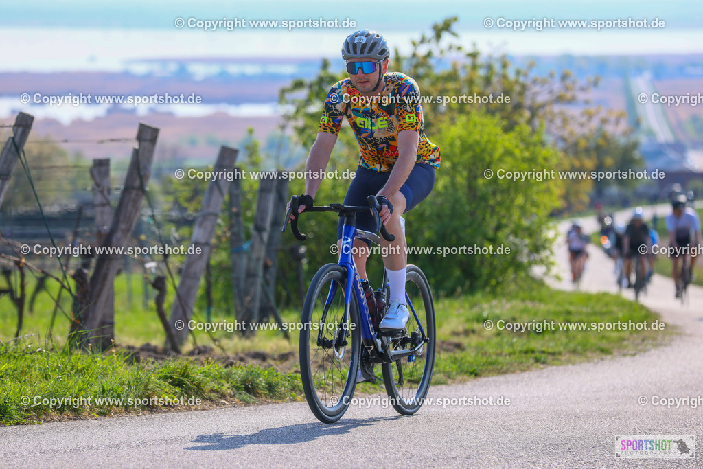 TRA_0191 | Neusiedlersee Radmarathon 2026@sportshot_your_pictrs #yourpictures#roadtowm2029 #nrm #neusiedlerseeradmarathon #neusiedlersee #neusiedlerseetourismus #burgenland #mörbisch #nrm26 #burgenlandtourismus #voglundco #poweredbyburgenlandtourismus #radsport #rad #marathon #ucigranfondo #visitburgenland #ucigranfondoworldseries