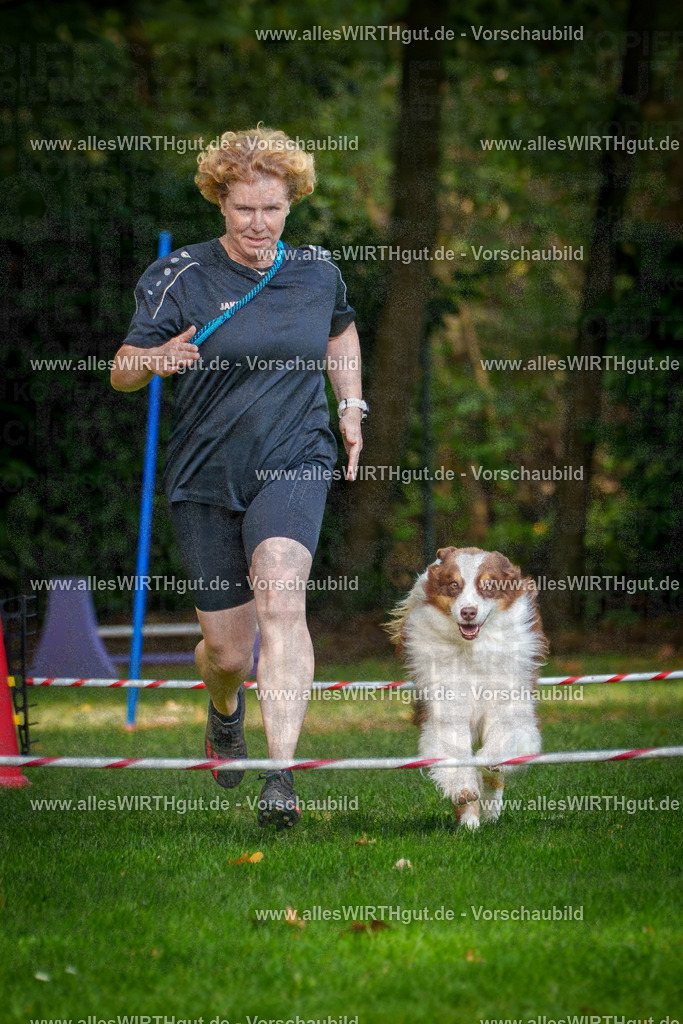 THS_Turnier_27-09-2026-allesWIRTHgut_Tierfotografie-7R506890 | Professionelle Tierfotografie in Mönchengladbach von Daniel Wirth (allesWIRTHgut). Liebevolle & natürliche Bilder von Hunden & Katzen für unvergessliche Erinnerungen.