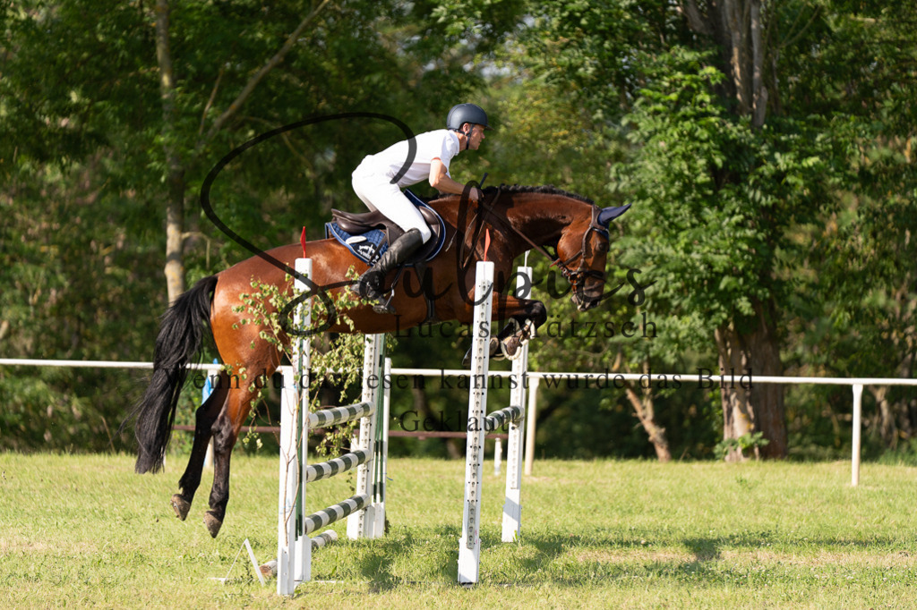 A7501526 | Turnier/Reitfotograf