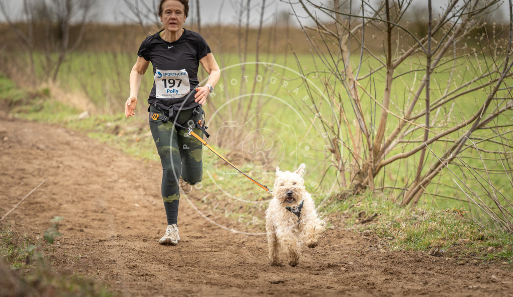 DV3A2371 | Hundefotografie, Tierfotograf, Pfotenfotografie, Fotoshooting Hund, Hunde Portrait, Hundesport, Hundeportraits, Heideshooting, Hunde, Sportfotograf, Hundefotograf, Turnierhundsport, THS,  - Realisiert mit Pictrs.com