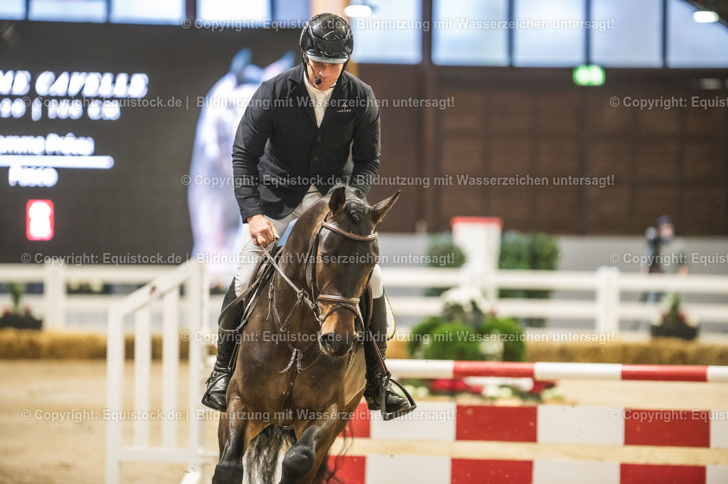 20240302_Hengstvorstellung_Marbach_TOMsPiC_0113-2 | equistock