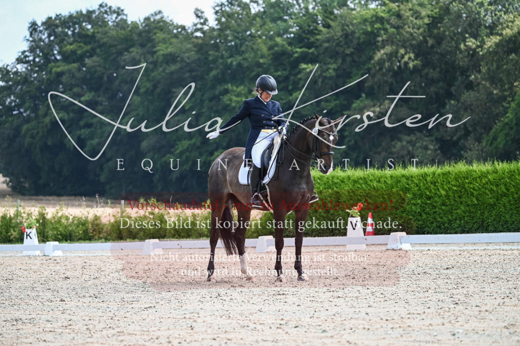 DSC_2231 | Pferde- und Turnierfotografie in Westsachsen. Pferdeportraits, Auftragszeichnungen und intuitive Kunst.