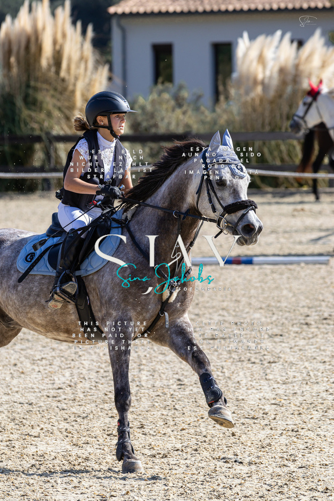 IMG_6315 | s-jay-photography - Realisiert mit Pictrs.com