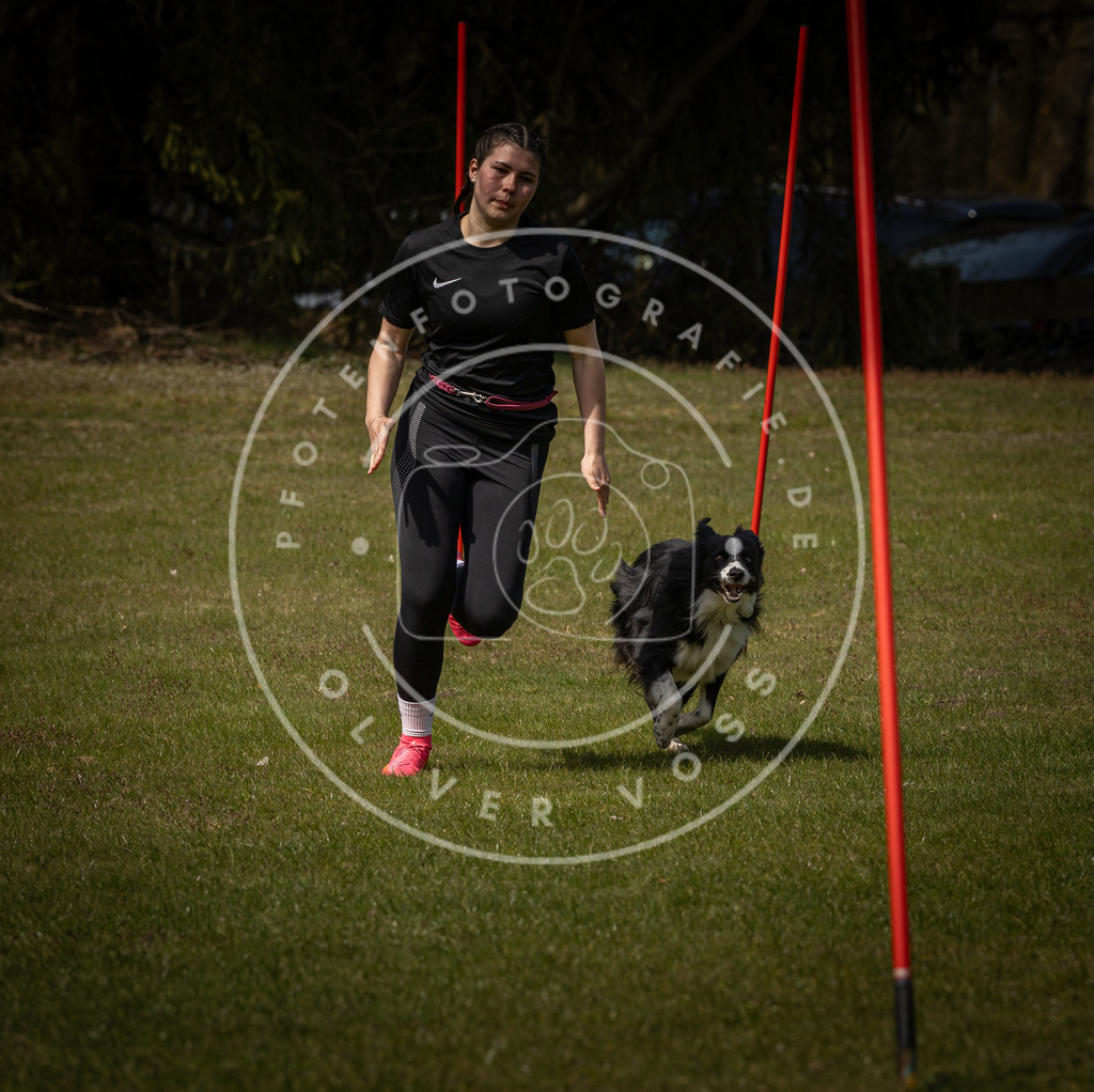 Pfotenfotografie_DV3A4956 | Hundefotografie, Tierfotograf, Pfotenfotografie, Fotoshooting Hund, Hunde Portrait, Hundesport, Hundeportraits, Heideshooting, Hunde, Sportfotograf, Hundefotograf, Turnierhundsport, THS,  - Realisiert mit Pictrs.com