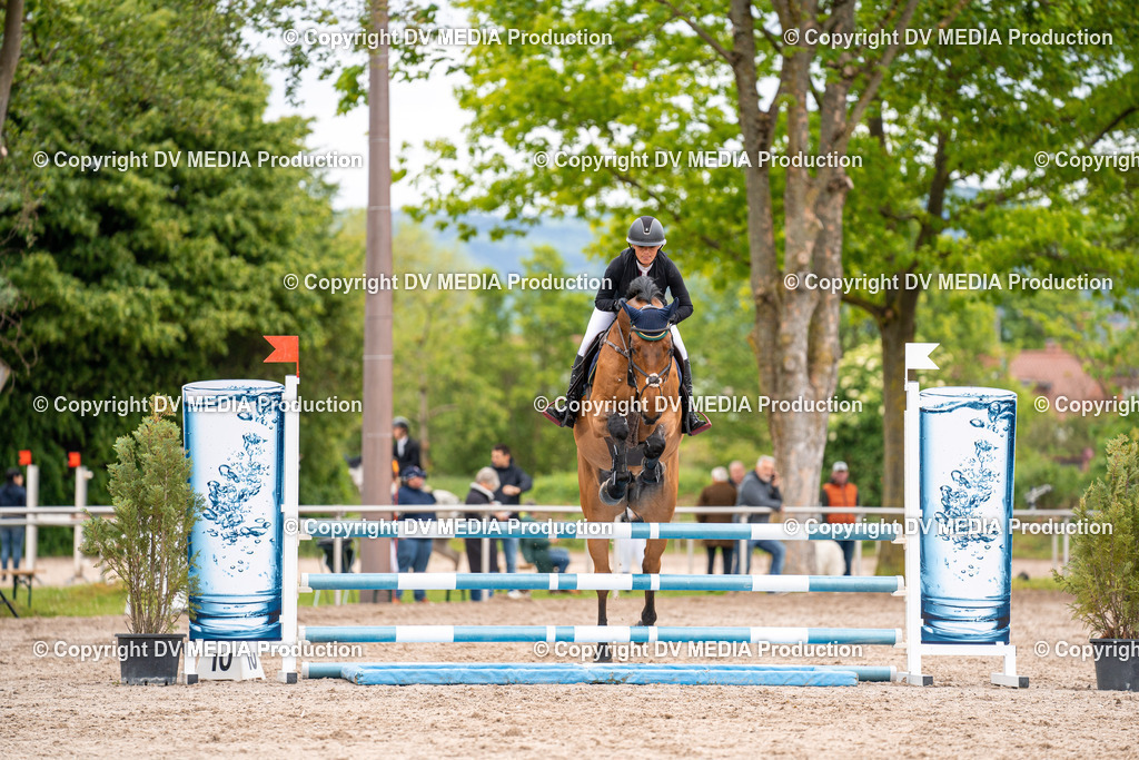 Eppelheim Tag 1-64 | dv-media-shop - Realisiert mit Pictrs.com