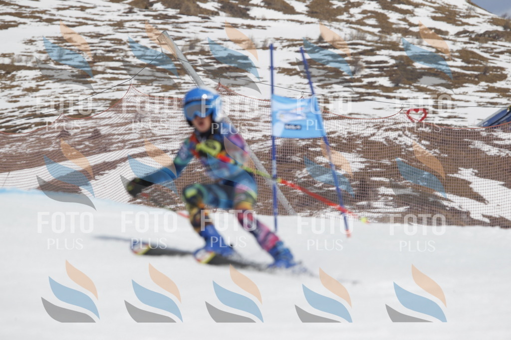 _U3G2486 | holidayphoto