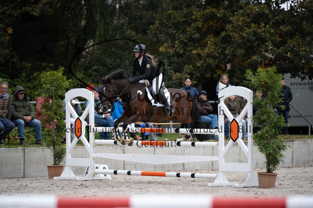 A7V08717 | Pferdefotograf