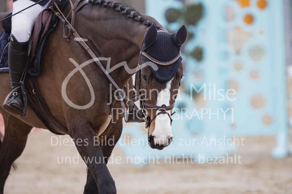 230408_Frühlingsfest_Stil-A1Ü30-556 | Deine schönsten Turniermomente als professionelle Fotos! Entdecke hochwertige Pferdesport-Fotografie im Online-Shop. Jetzt Fotos finden & bestellen!