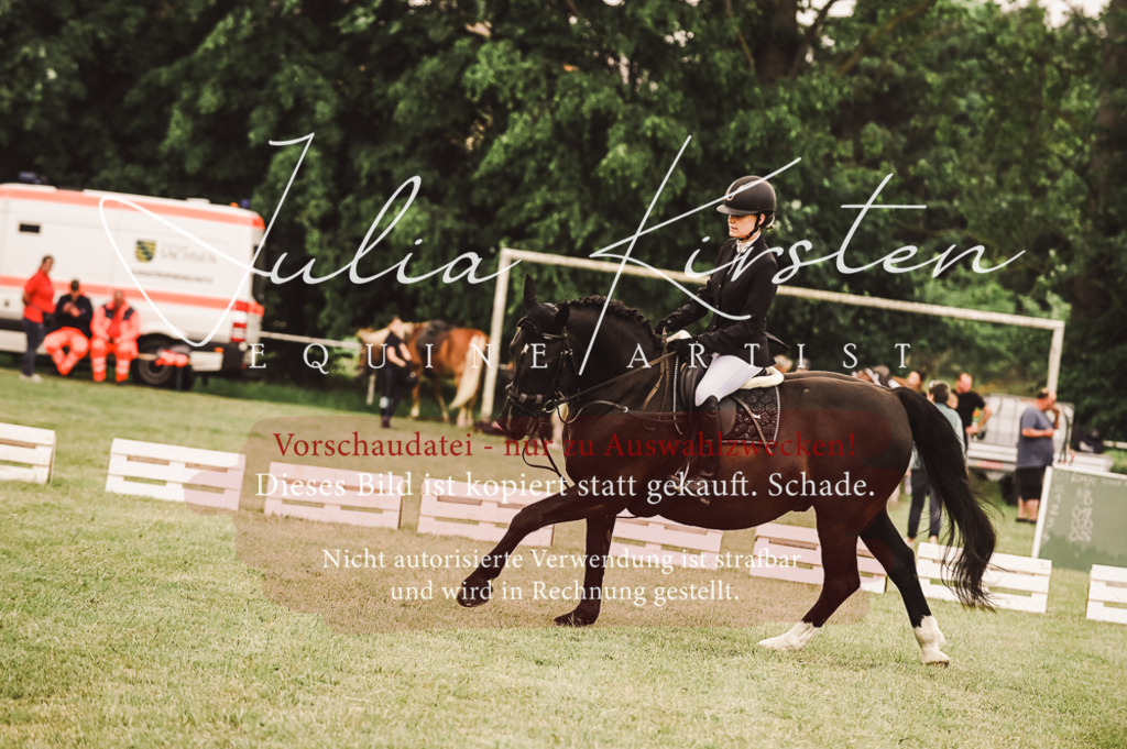 DSC_5105 | Pferde- und Turnierfotografie in Westsachsen. Pferdeportraits, Auftragszeichnungen und intuitive Kunst.