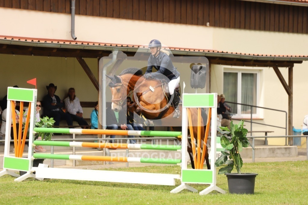 IMG_7717 | Pauline Ullmann Photography - Realisiert mit Pictrs.com