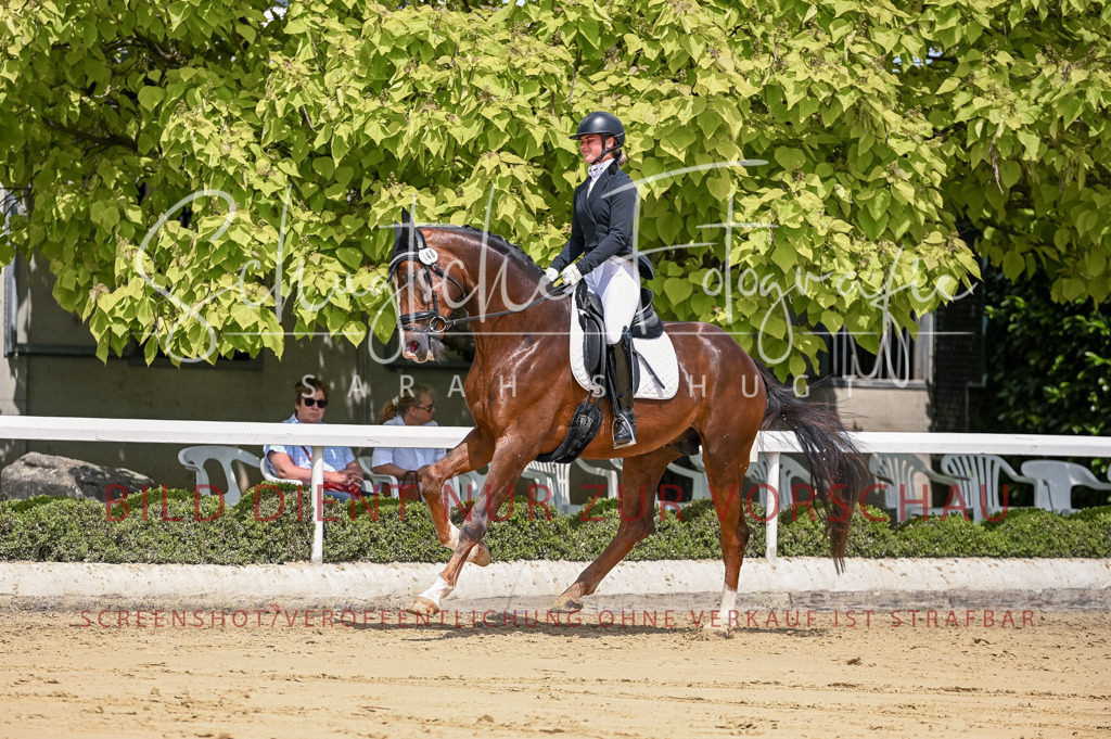 Schugtsche-Aluta25-48.Reitpferfdeprf.-295 | Schugtsche Fotografie - Realisiert mit Pictrs.com