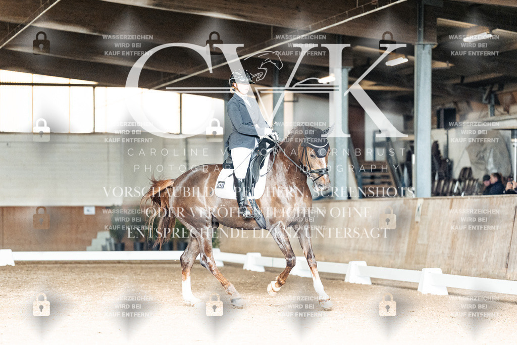 CK902738 | Turnierfotografie Pferdefotografie Trier Rheinland-Pfalz Pferdesport Reitsport Tierfotografie Sportfotografie Pferdevideo Pferdevideografie Equestrianvideography equestrianphotography  - Realisiert mit Pictrs.com