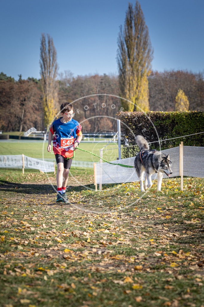 CaniXpix_DV3A8385 | Hundefotografie, Tierfotograf, Pfotenfotografie, Fotoshooting Hund, Hunde Portrait, Hundesport, Hundeportraits, Heideshooting, Hunde, Sportfotograf, Hundefotograf, Turnierhundsport, THS,  - Realisiert mit Pictrs.com