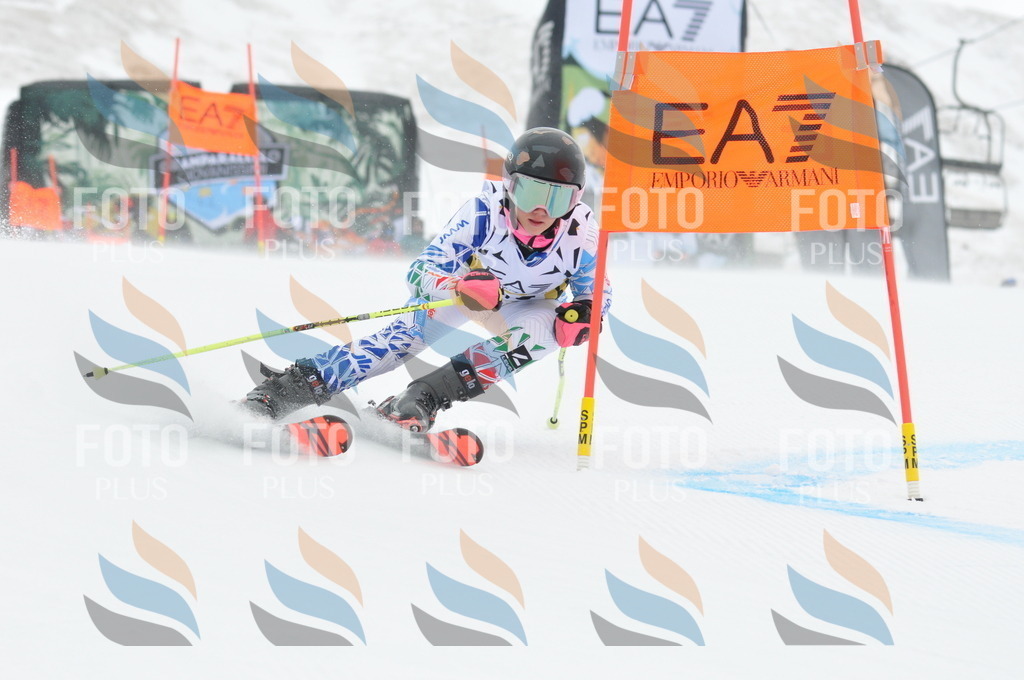 DSC_8877 | holidayphoto