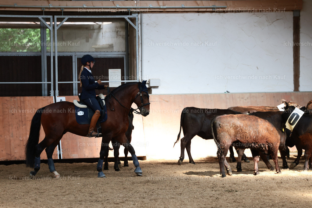 Masterclass_stoibphotography_C2_L7380.JPG | working equitationturnier fotograf videograf stoibphotography marixx film working equitation deutschland reitsport turnierfotografie eventfotografie equestrian events