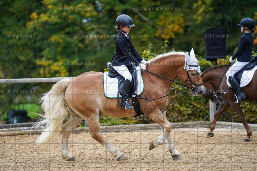 20221008-FAH01451 | Diessen am Ammersee, 2022, Dressur- und Springturnier, Reitsportbilder, Turnierfotografen Bayern, Pferdefotografen, Fotoagentur Herrmann, Turnierbilder