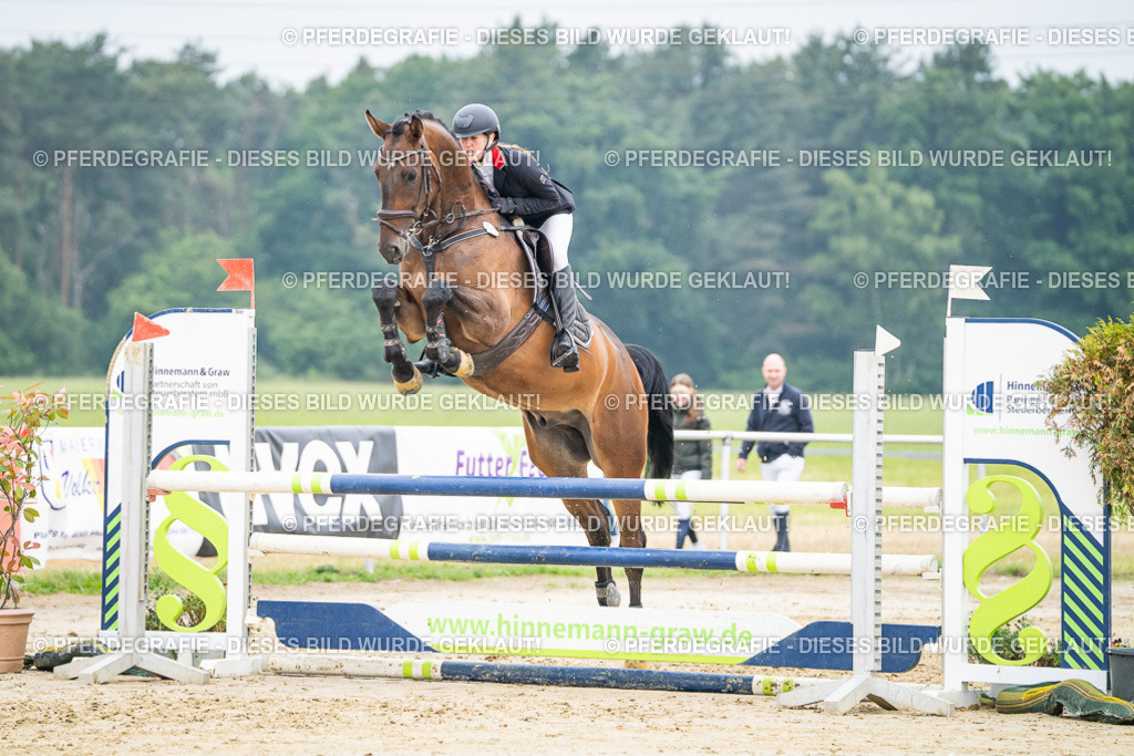 DSC00384 | Pferdegrafie