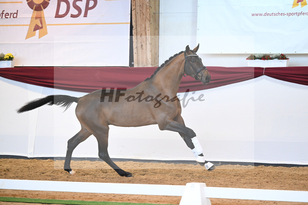 Kat-Nr. 10 v. Bonds_Klenk u Schneider-Gaertner_66221733 | hf-fotografie - Realisiert mit Pictrs.com